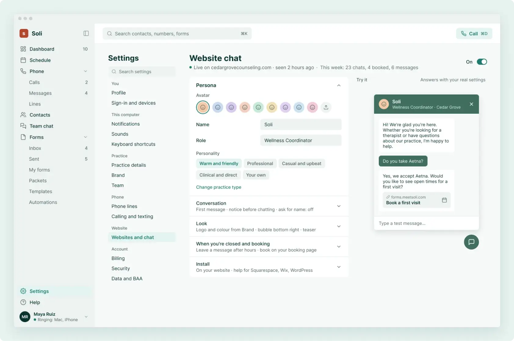 Website chat settings in Soli: the chat’s name, colours, the facts it answers from and the snippet for your site
