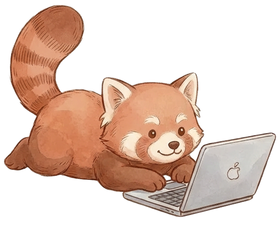 Red panda working calmly on a laptop